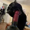 sssteeykkaaa