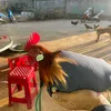 nguoikenhiemgr