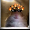 hamstercult_3