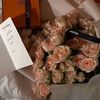 umsalem_2023s