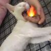 5nguyenngocquynhchi5