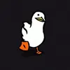 a_duck45