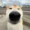 yocnxd