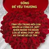 thuytrang889825