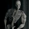 esqueleto_loquendo