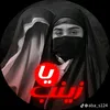 vjsq13