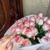 shakh1_017