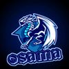 osamasaraireh943