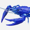 electriccrayphish69
