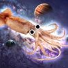 lukythesquid