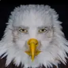 hawks431