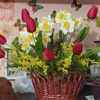 elena_sobolinskaya