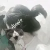tdao_573