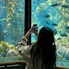 li_aaa43