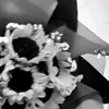 wyzqs_1528
