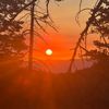 natureismymedicine333