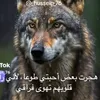 user71775730438578
