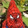 spider_gnome