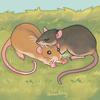 arora.and.her.rats