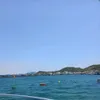 nguoixala_133
