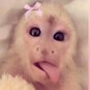 melycita_0