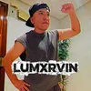 Lumarvin🎱