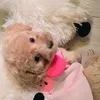 cuucocanhcuaduy03