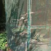 ngocanh_140993
