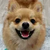 tinybabychoco