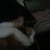 hector.fabian12345
