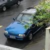 blue.xr3