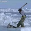 your_local_lumber_jack