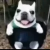 fjfjjgfkf