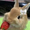 it4myg