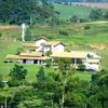 reginaldopanelinh