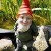 averagegnome1.0