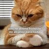 ingrid.2580