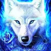 katiewolfgirl2025