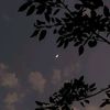 a002z_080609