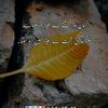 huzaifaayash2