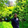 tsegaworkineh7gmailcom