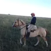 marceloalvarez246