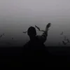 ar0_o10