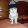 inesnoussa2461