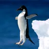 chef_des_pingouins