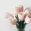 adilamasron_