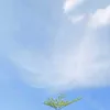 sptia.rhmm