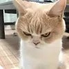 ketthuc0000000