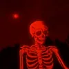 _orang519