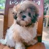 user9315805055446doni